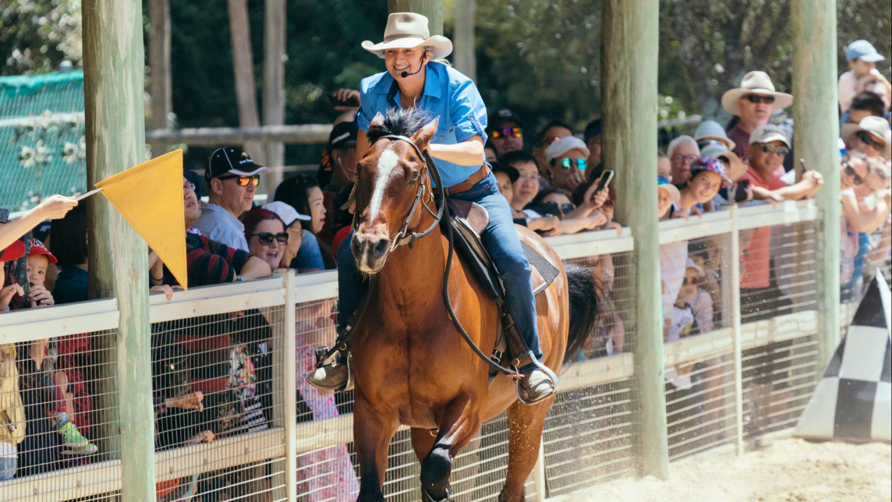 Paradise Country Gold Coast Ticket Price